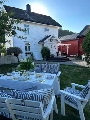 Exclusive 1920 century villa 10 min from AirPort